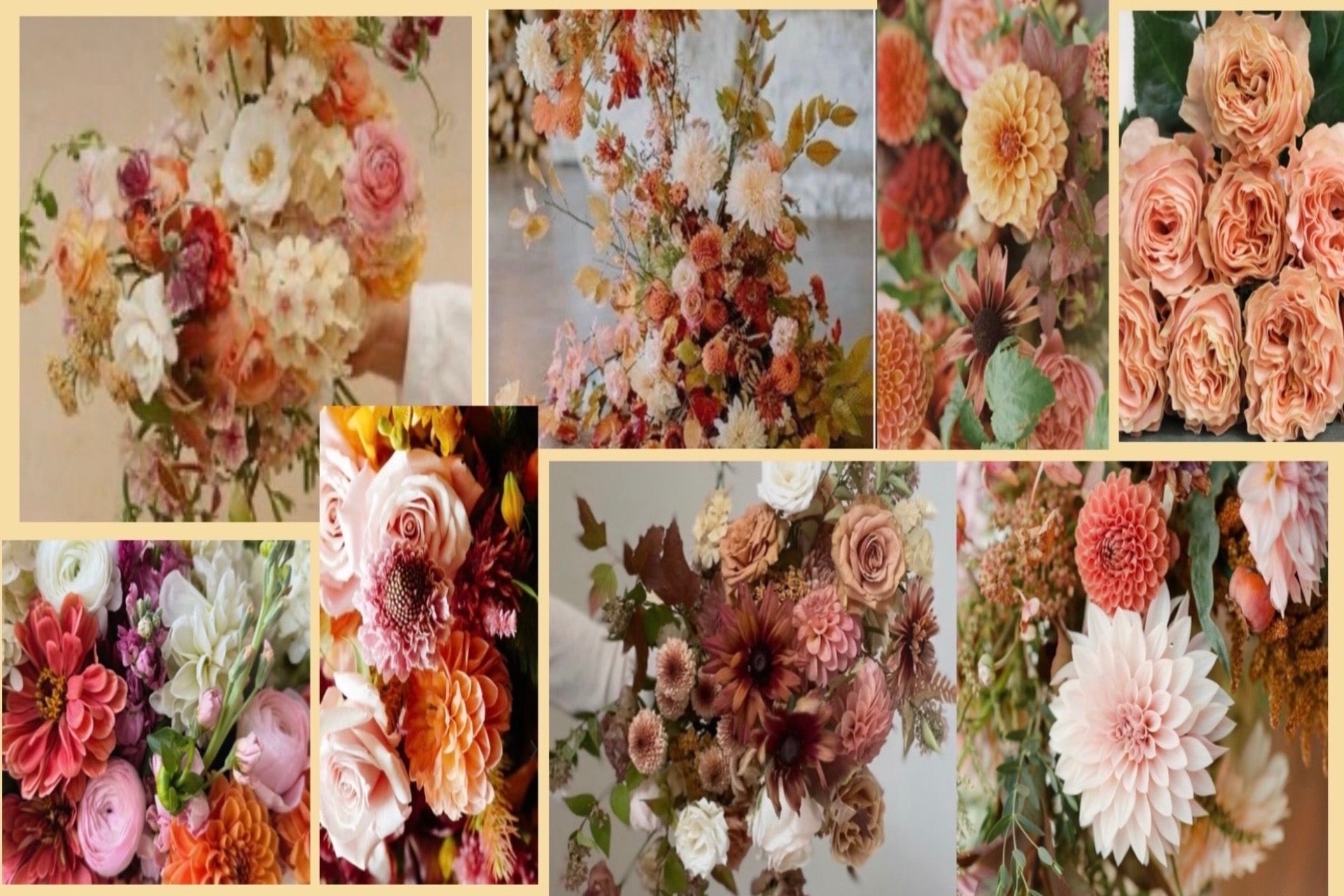 Autumn Favorites All Year