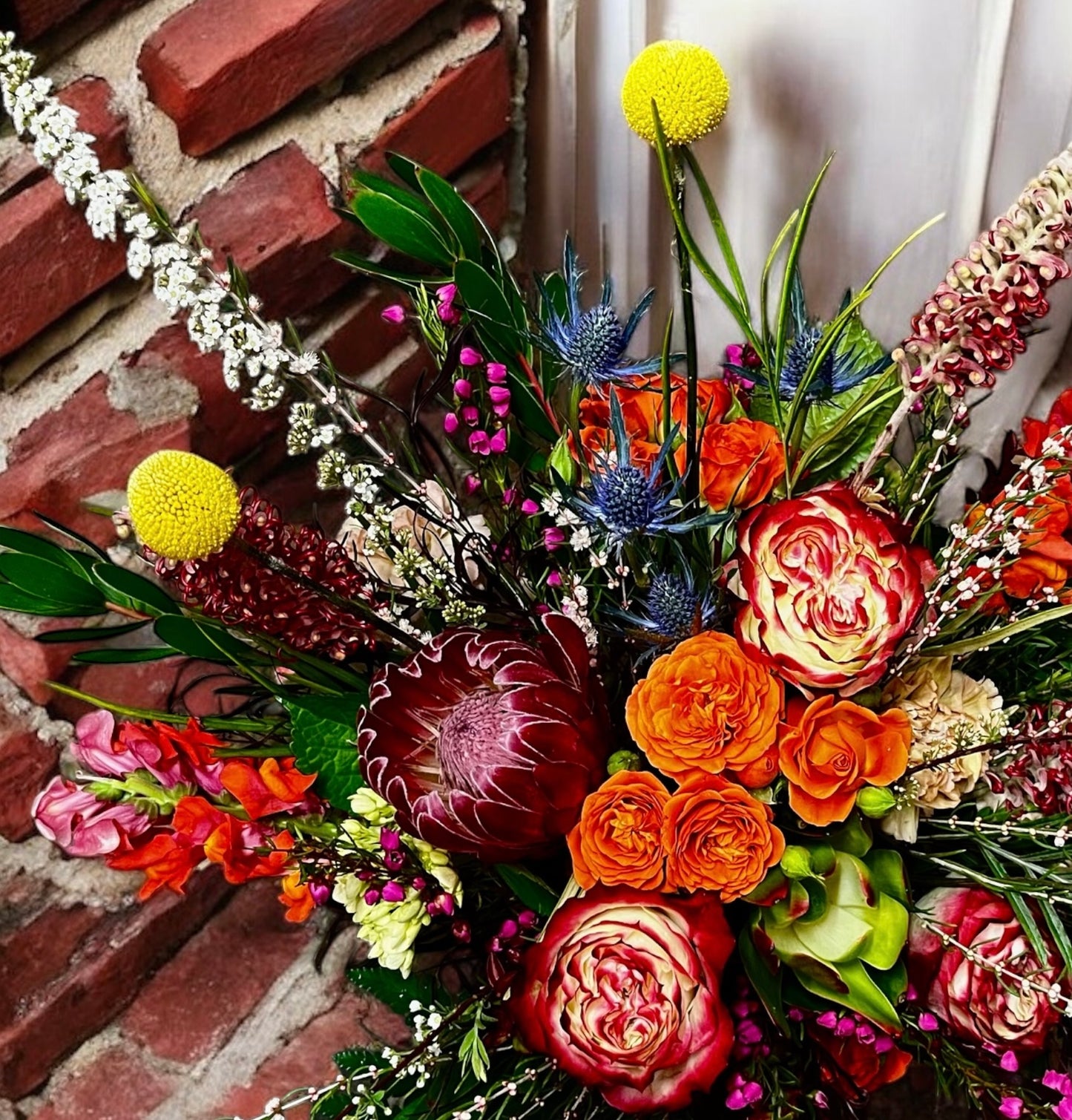 High Style Colorful Designer Choice – Petal Passion, Ammon ID
