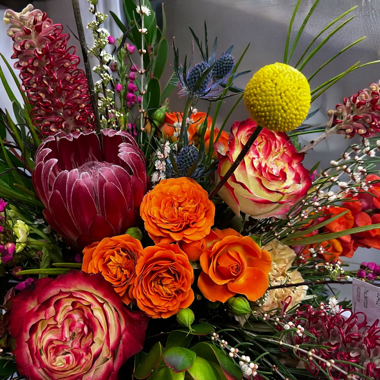 High Style Colorful Designer Choice