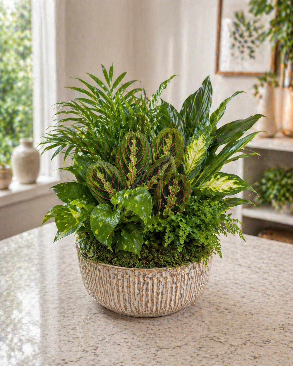 Lush Mixed Green Plant Garden