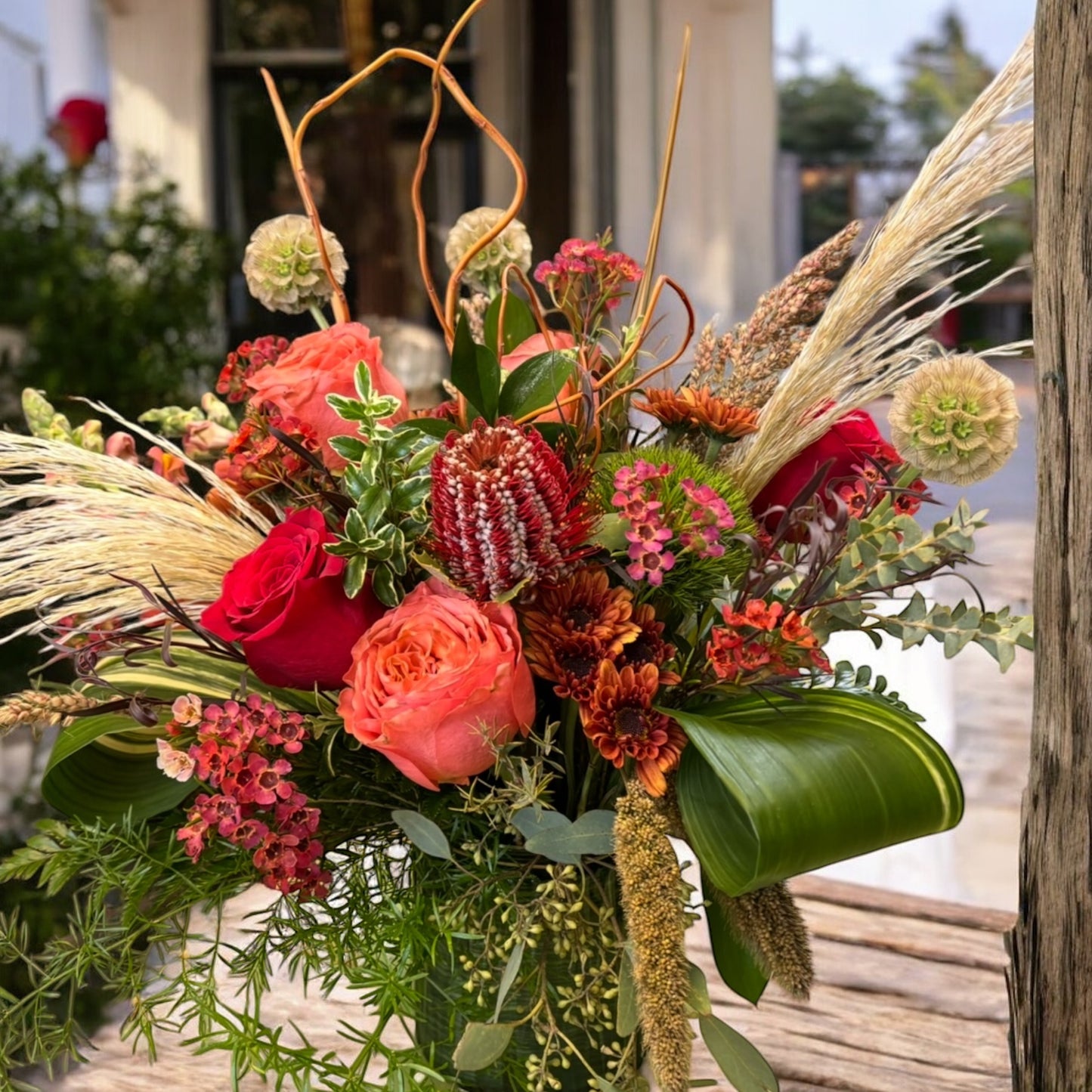 One of a kind – Petal Passion, Ammon ID