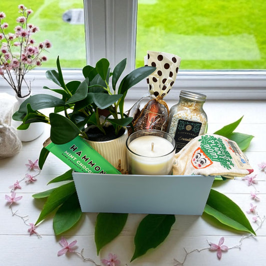 The Big Bad-A Birthday Box