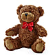 Adorable Plush Bear –  Petal Passion, Ammon ID
