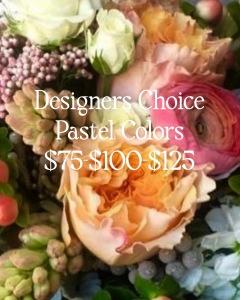 Designers Choice Pastels