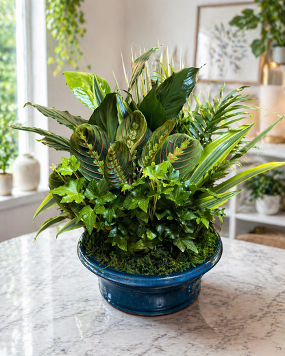 Lush Mixed Green Plant Garden