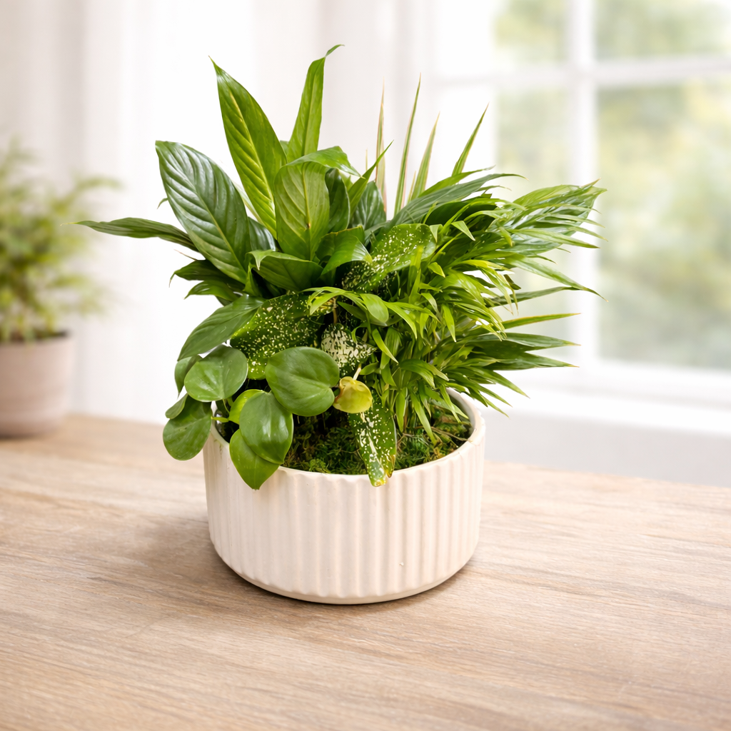 Lush Mixed Green Plant Garden