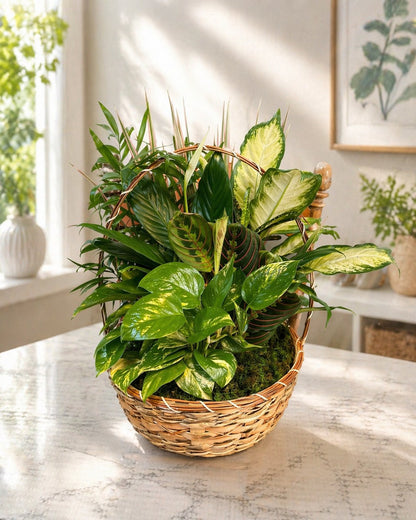 Garden Plant Basket