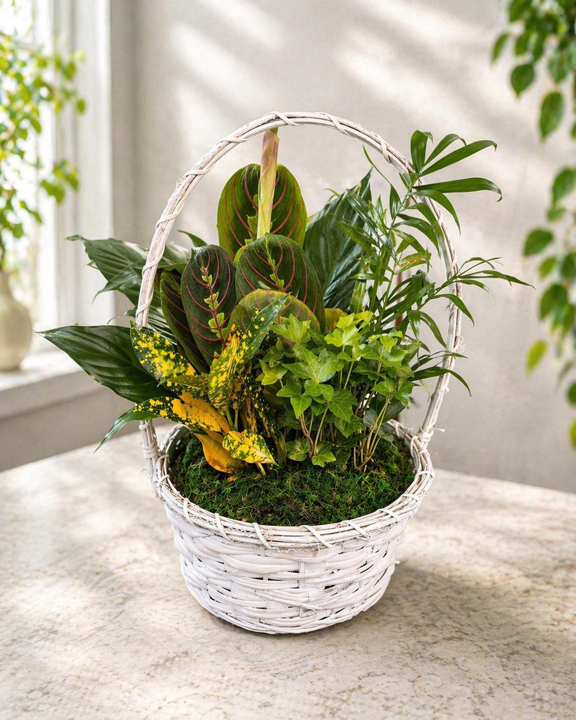 Garden Plant Basket