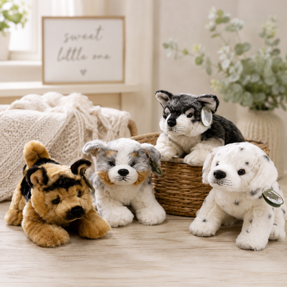 Plush Puppy –  Petal Passion, Ammon ID