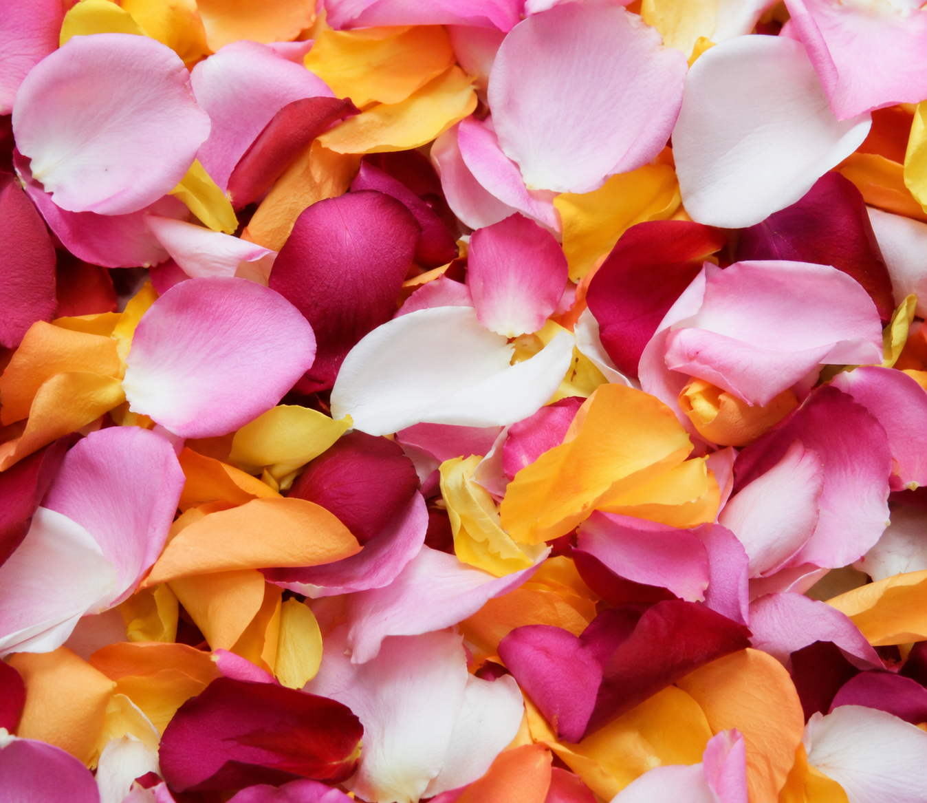 Bed of Roses- Love Just Got Extra!