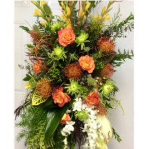 Colors Of The Sunset –  Petal Passion, Ammon ID