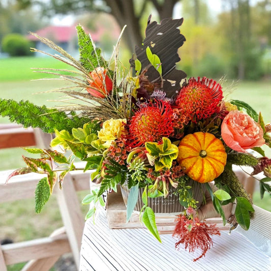 So Much To Be Thankful For