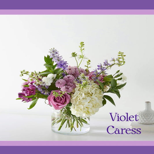 Violet Caress