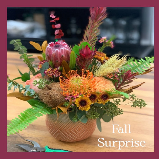 Fall Surprise