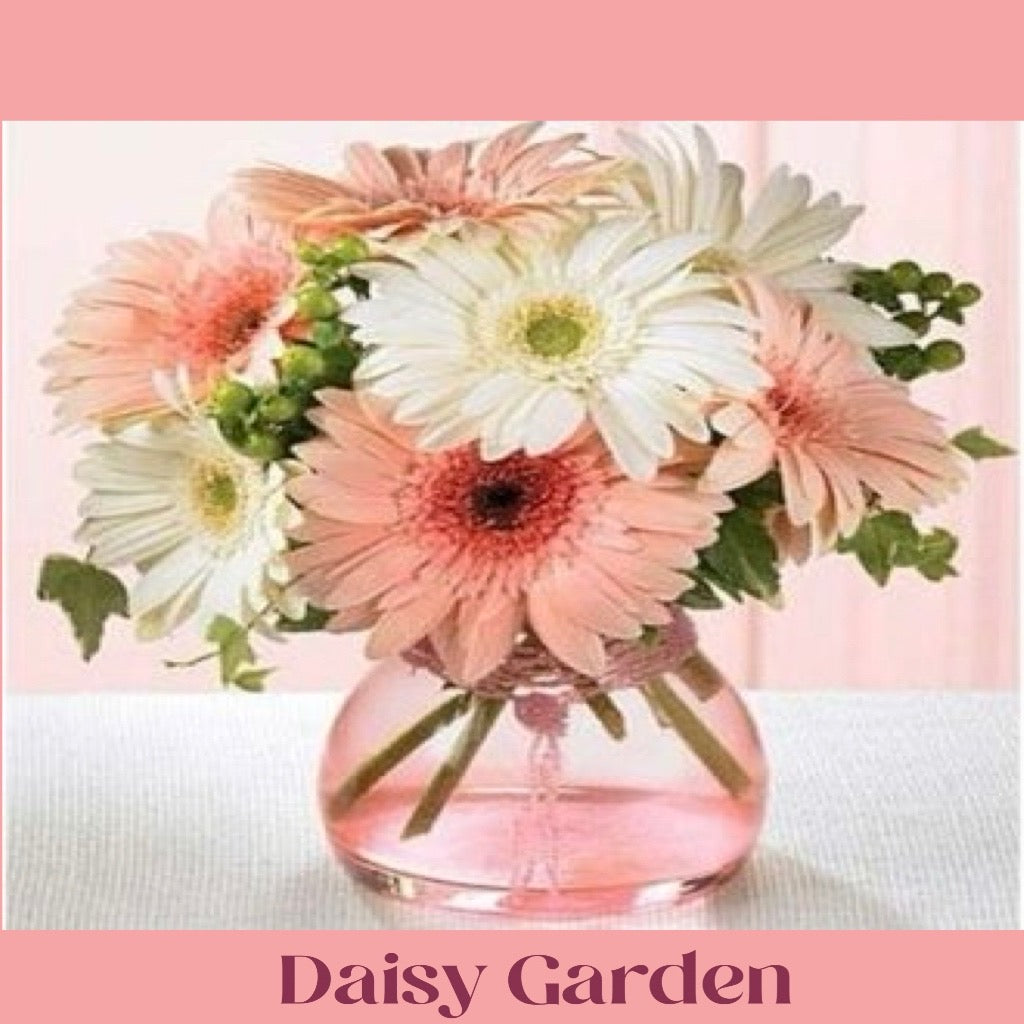 Daisy Garden